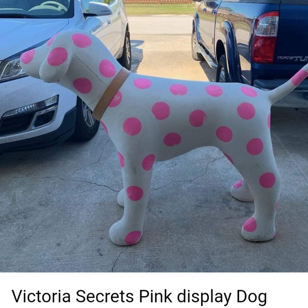 IN SEARCH OF THIS 5 FOOT DOG
